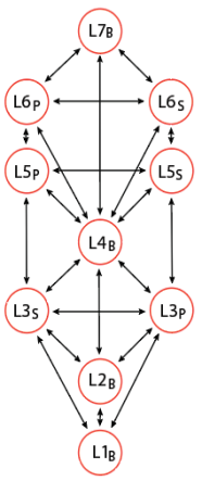 Blank generic Tree using M versus F as dynamic duality.